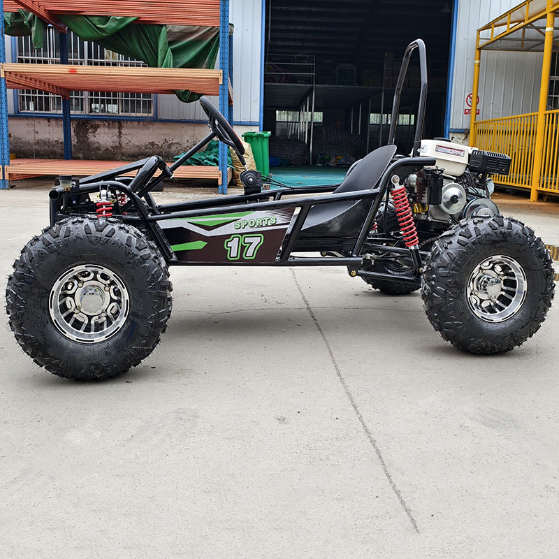 Factory Direct Professional Tr - Kids Outdoor Karting review and price