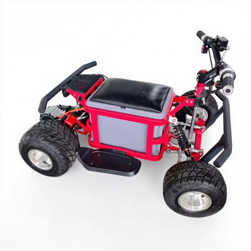 Crazy Kart Drift Electric Adul - Kids Outdoor Karting review and price
