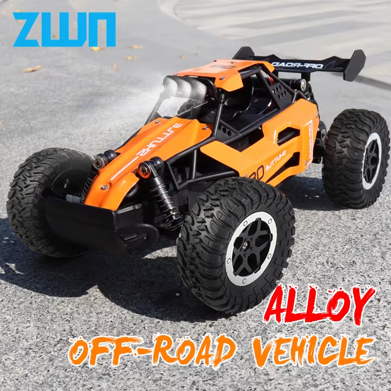 ZWN 1:16/1:20 Alloy RC Car Wit - Kids Outdoor Gear review and price